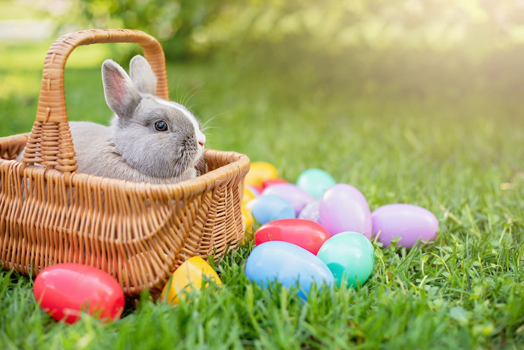 Easter Wishes And Chocolate Kisses