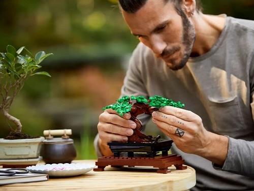 Lego Botanical Collection Bonsai Tree - 10281