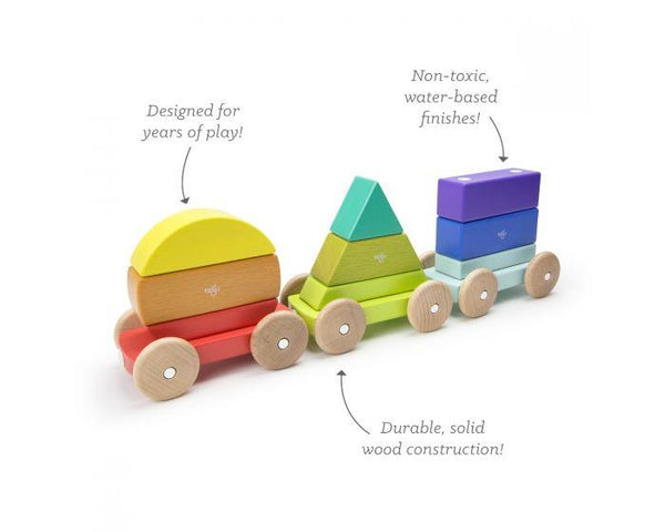 Tegu Magnetic Shape Train
