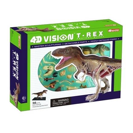 4D Vision T-Rex Anatomy Model