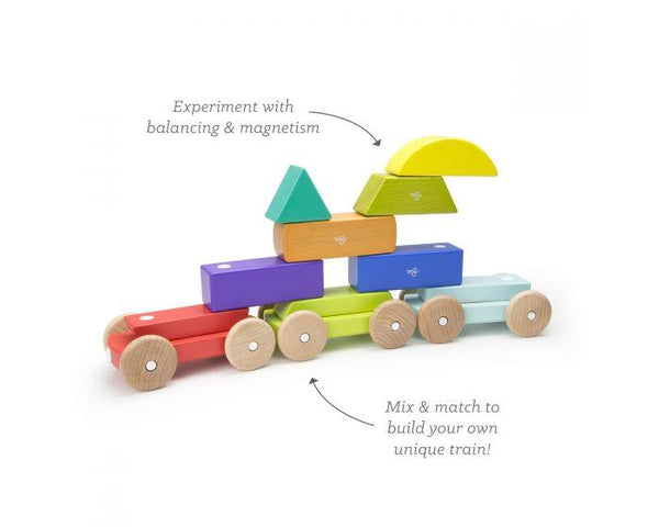 Tegu Magnetic Shape Train