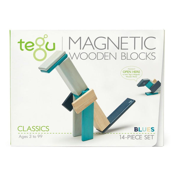Tegu 14 Piece Set Blue