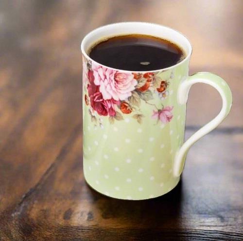 McIntosh Dots & Roses Green Classico Mug