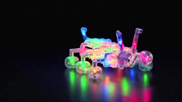 Laser Pegs World Of Bugs