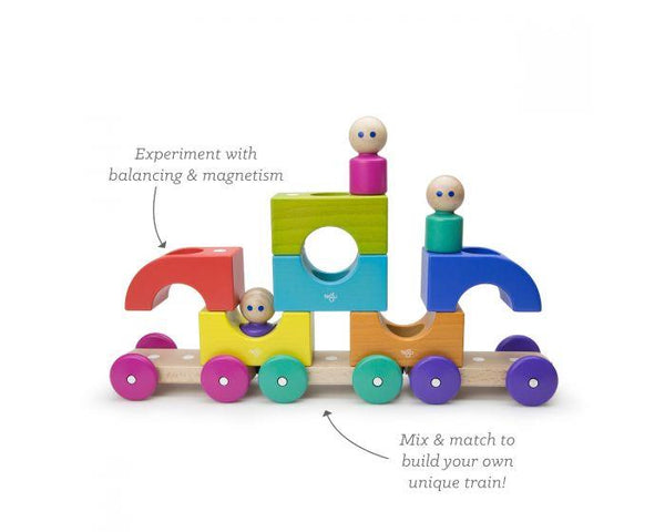 Tegu Magnetic Rainbow Tram Train