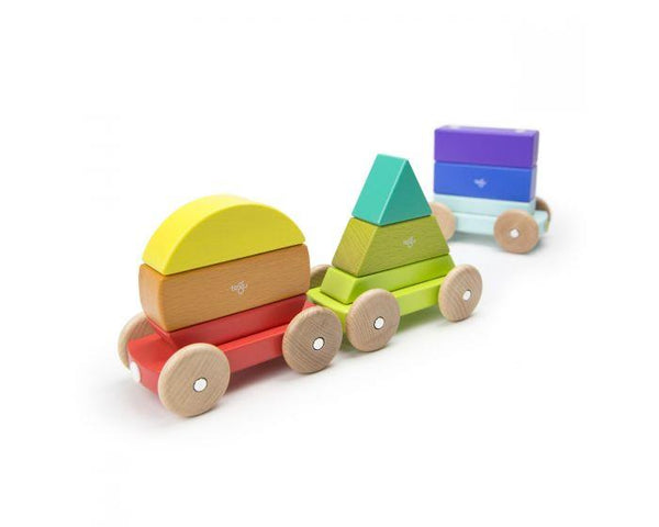 Tegu Magnetic Shape Train