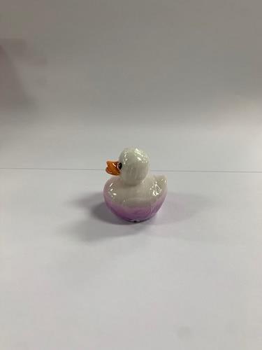 Magic Lip Gloss Duckie White