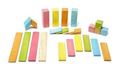 Tegu 24 Piece Set Tints