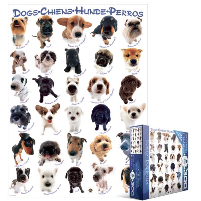 Puzzle Dog Breeds (300pcs)