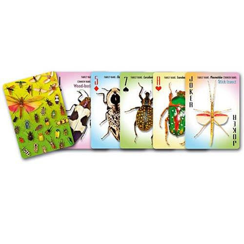 Incredible Insects Playing Cards - Jouets LOL Toys