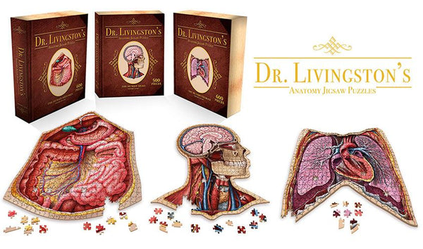 Dr. Livingston's Anatomy Jigsaw Puzzle The Human Abdomen