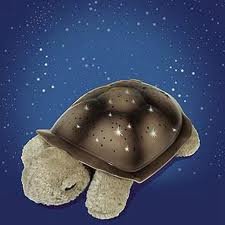 Cloud B Twilight Turtle