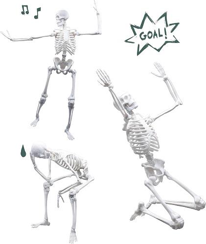 Buki France Giant Skeleton (45 cm)