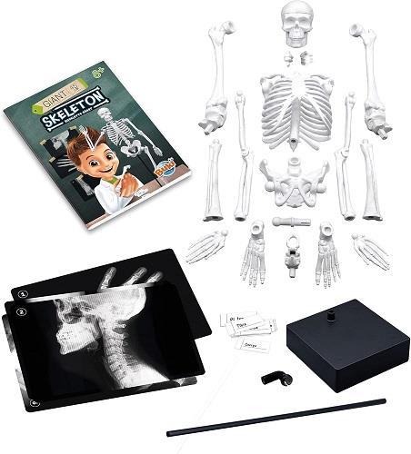 Buki France Giant Skeleton (45 cm)