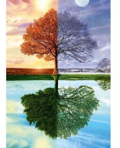 Schmidt Puzzle 4 Seasons Tree