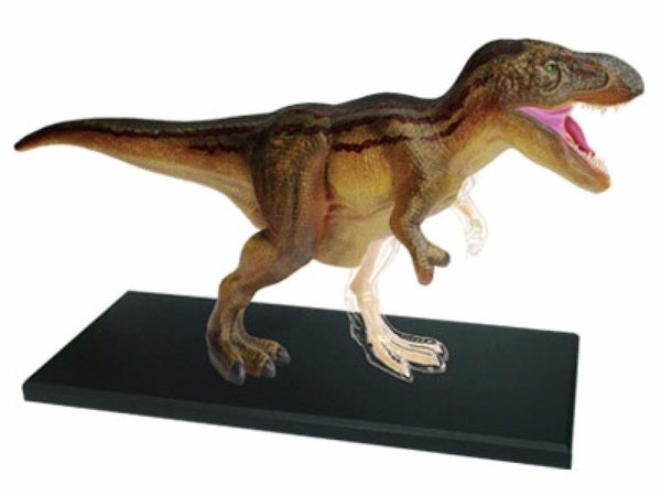 4D Vision T-Rex Anatomy Model