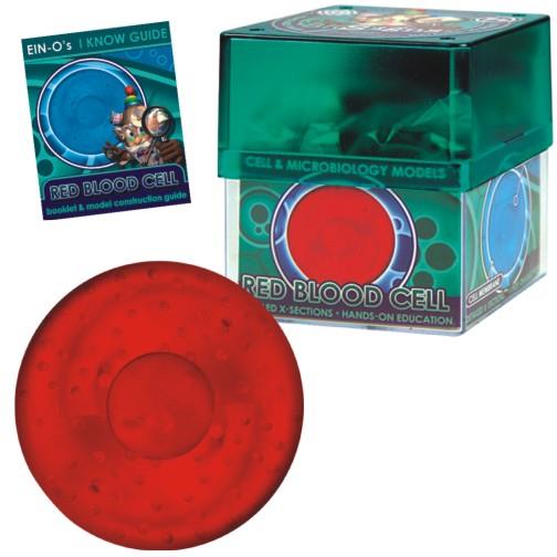 Bio Signs Red Blood Cell Model