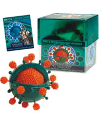 Bio Signs Virus Model