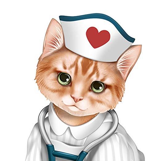 Bradford Exchange Nurses Are Su-Purr Heroes
