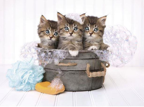 Clementoni Kitten and Soap Puzzle