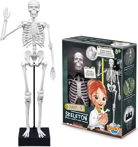 Buki France Giant Skeleton (45 cm)