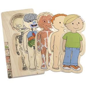 Hape Your Body Boy 5 Large Puzzle / Votre Corps Garçon 5 Grandes Pièces