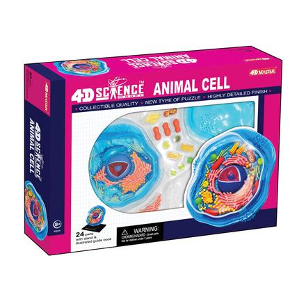4D Anatomy Animal Cell Model