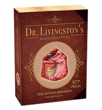 Dr. Livingston's Anatomy Jigsaw Puzzle The Human Abdomen