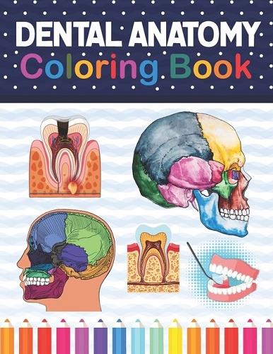 Dental Anatomy Coloring Book V.2