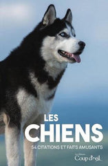 Cartes Les Chiens 54 Citations et Faits Amusants