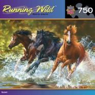 Horse Splash Puzzle