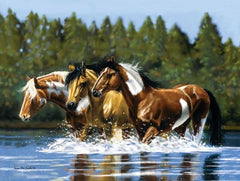 Horse Heading Upstream Puzzle / Cheval Remontant le Courant Casse-Tête