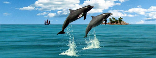 MV Bookmark with Dolphins / Signet avec des dauphins