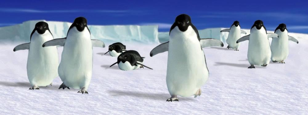 MV Bookmark Penguins
