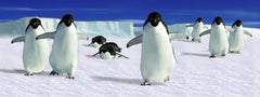 MV Bookmark with Penguins / Signet avec des pingouins