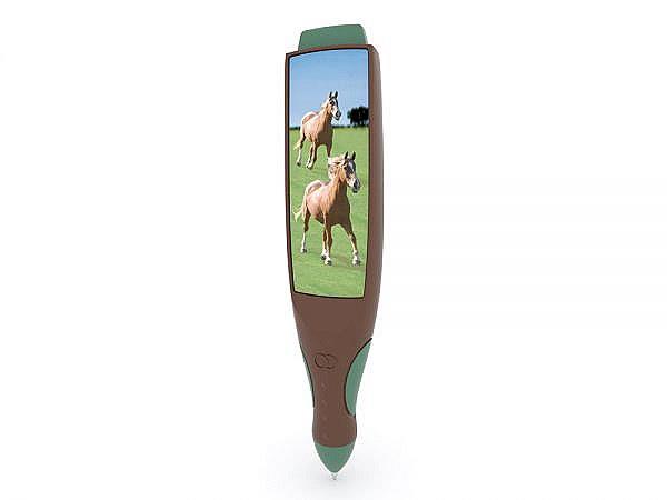 MV Pen Horses