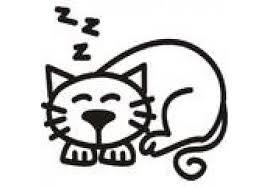 My Family Car Stickers Cat Sleeping
