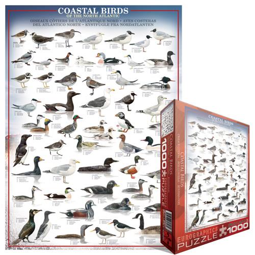 Puzzle Coastal Birds of the North Atlantic (1000pcs)