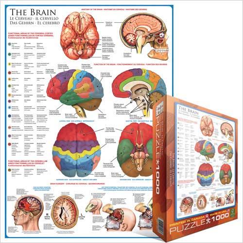 Puzzle The Brain (1000pcs)