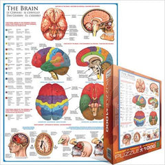 Eurographics Puzzle The Brain / Casse-tête Le Cerveau (1000pcs)