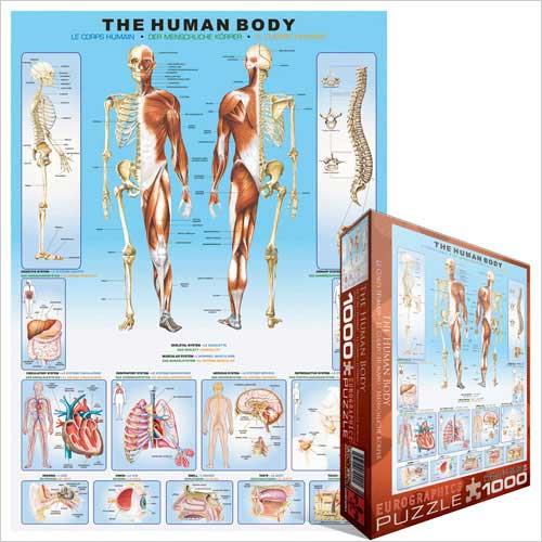 Puzzle The Human Body (1000pcs)