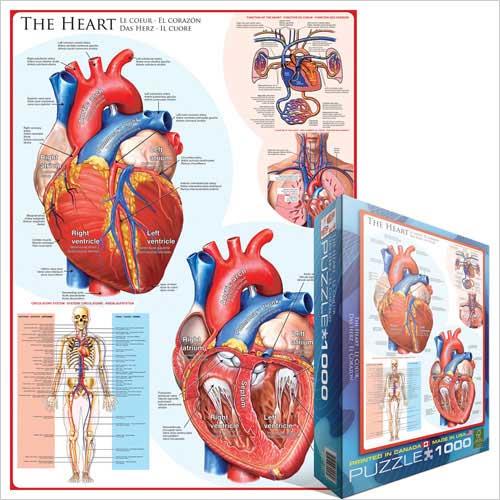 Puzzle The Heart (1000pcs)