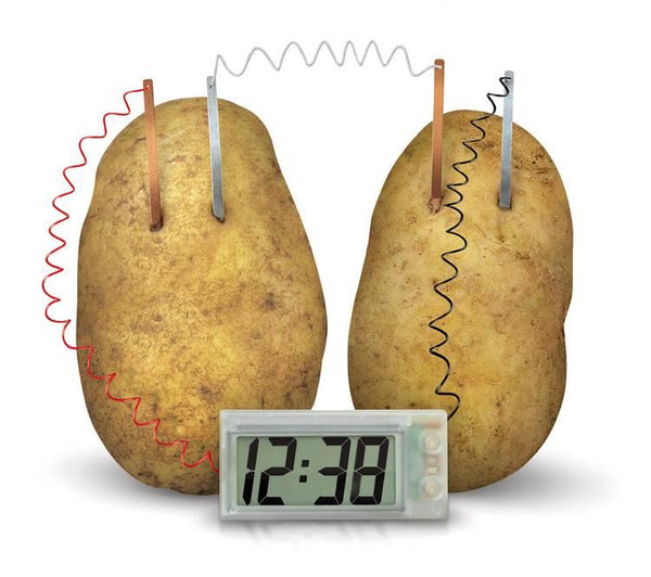 4M Potato Clock (Eng)