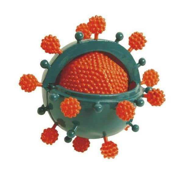 Bio Signs Virus Model - Jouets LOL Toys