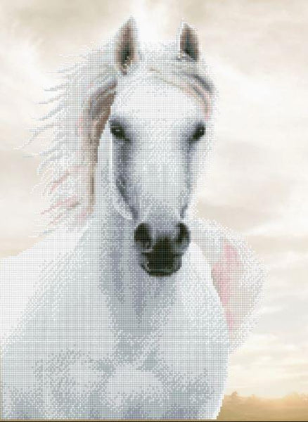 Diamond Dotz Poster Imperial Stallion