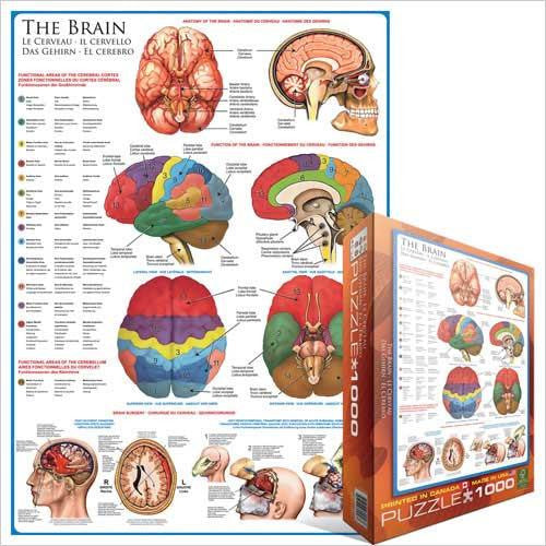 Puzzle The Brain - Jouets LOL Toys