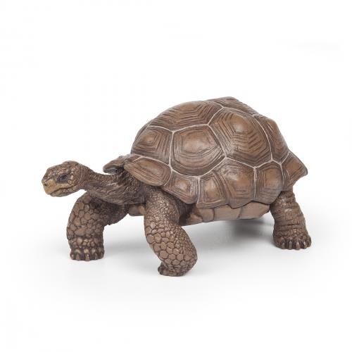 Papo Galapagos Tortoise - Jouets LOL Toys